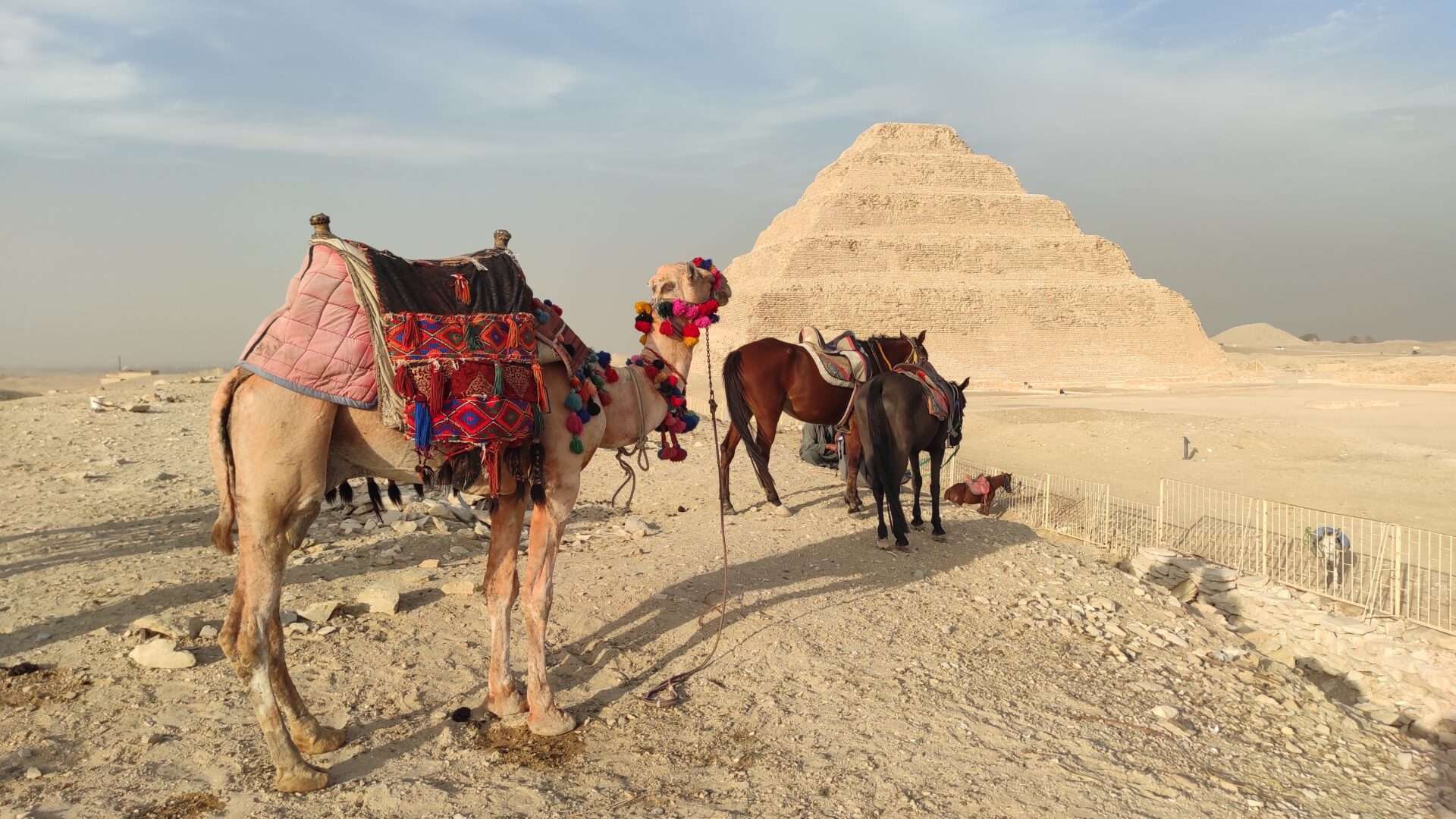 egipto egipto