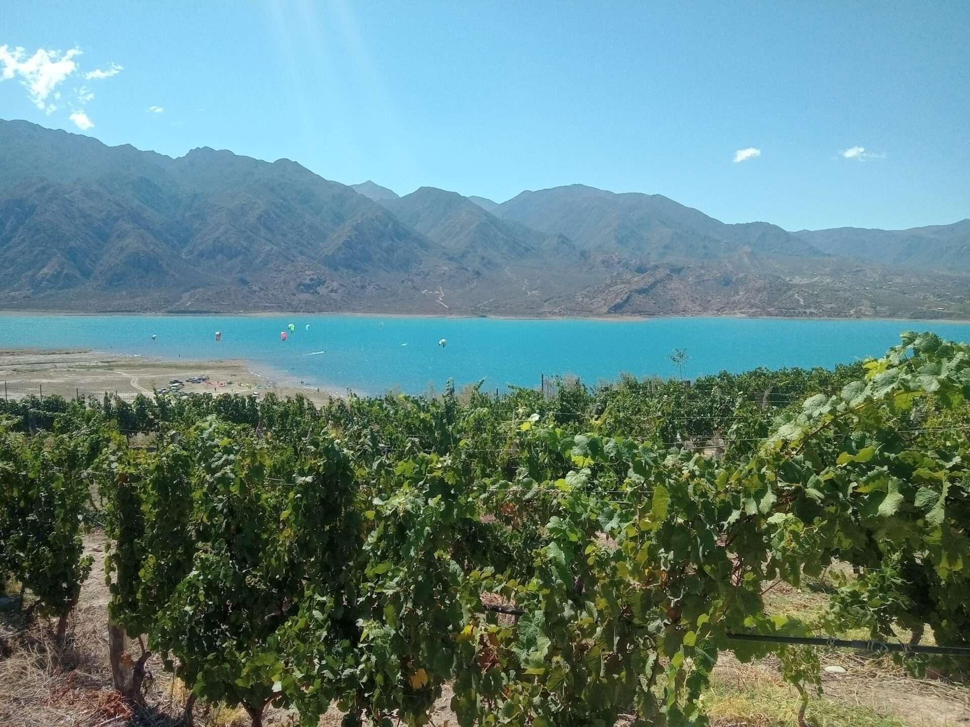 mendoza mendoza