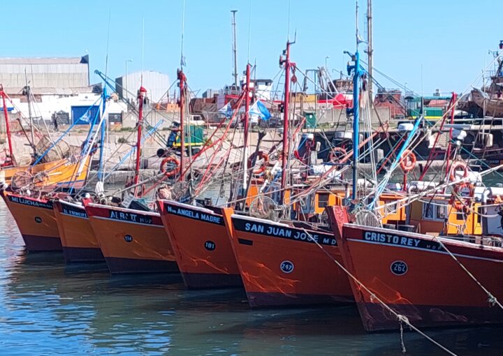 mar del plata