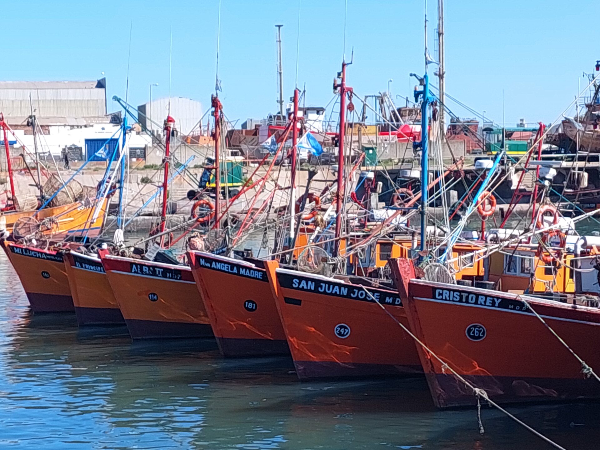 mar del plata