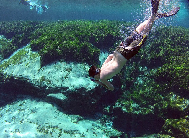 AlexanderSprings_Julie Fletcher (1) visit florida