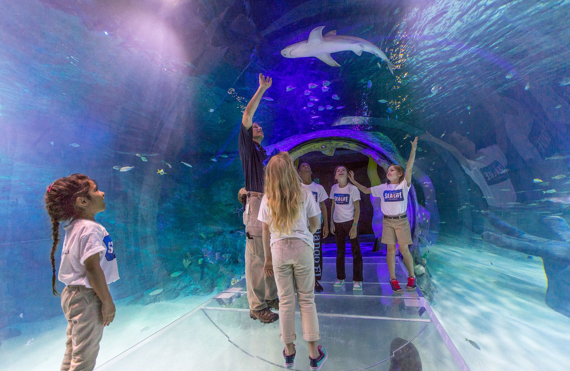 Acuario Sea Life Orlando visit orlando