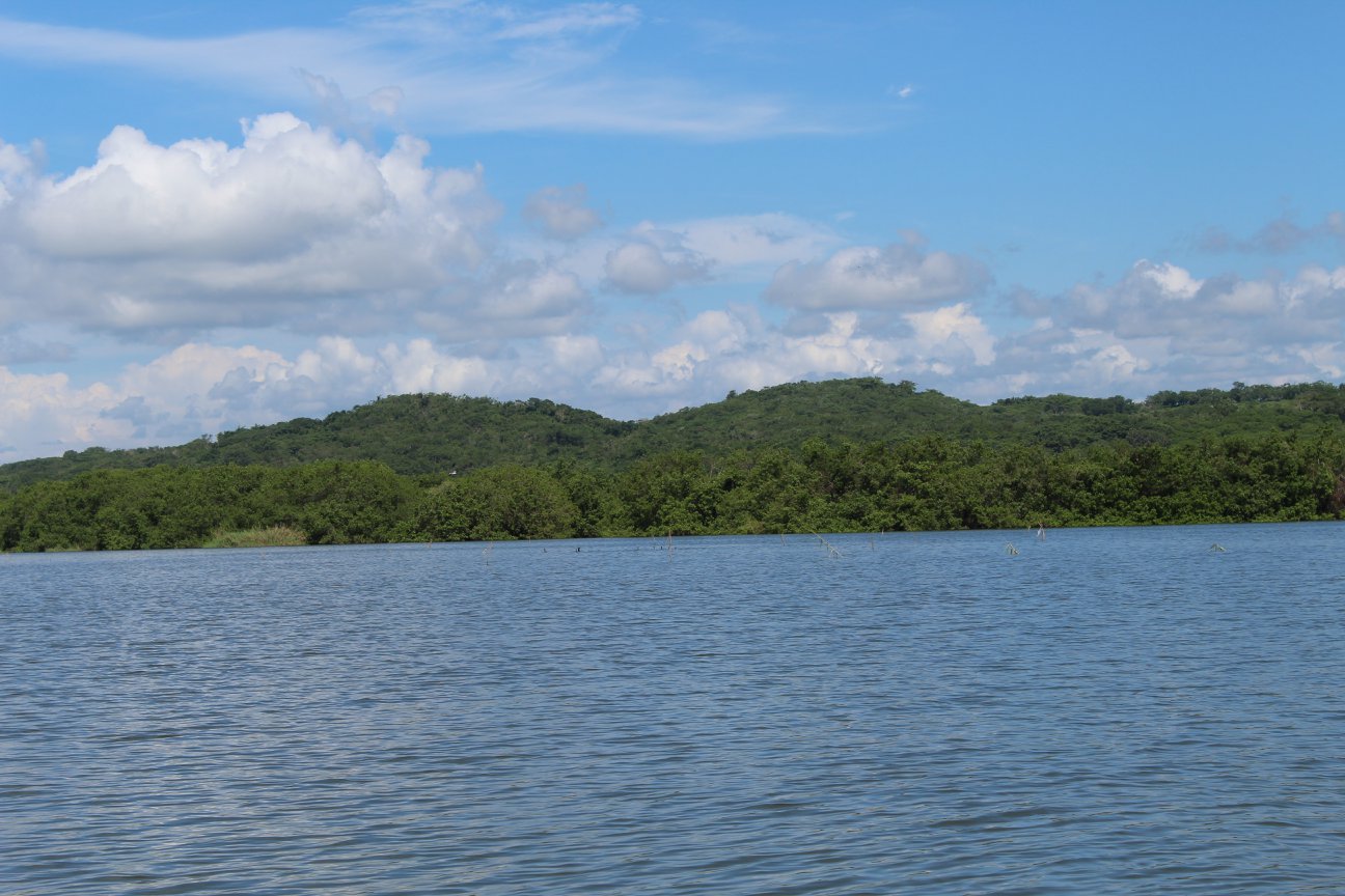 laguna de tres palos laguna de tres palos